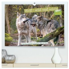 Wolf - wild und schön (hochwertiger Premium Wandkalender 2026 DIN A2 quer), Kunstdruck in Hochglanz