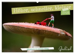 Höher, schneller, kleiner - Miniaturen in unserem Alltag (Wandkalender 2026 DIN A2 quer), CALVENDO Monatskalender