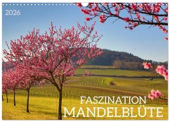 FASZINATION MANDELBLÜTE (Wandkalender 2026 DIN A3 quer), CALVENDO Monatskalender