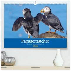 Papageitaucher - Clowns der nordischen Vogelwelt (hochwertiger Premium Wandkalender 2026 DIN A2 quer), Kunstdruck in Hochglanz Papageitaucher - Clowns der nordischen Vogelwelt (hochwertiger Premium Wandkalender 2026 DIN A2 quer), Kunstdruck in Hochglanz