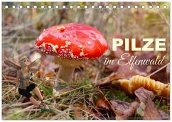 Cover Pilze im Elfenwald (Tischkalender 2026 DIN A5 quer), CALVENDO Monatskalender