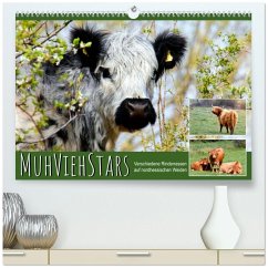 MuhViehStars (hochwertiger Premium Wandkalender 2026 DIN A2 quer), Kunstdruck in Hochglanz