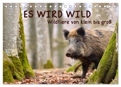 ES WIRD WILD Wildtiere von klein bis groß (Tischkalender 2026 DIN A5 quer), CALVENDO Monatskalender