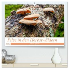 Pilze in den Herbstwäldern (hochwertiger Premium Wandkalender 2026 DIN A2 quer), Kunstdruck in Hochglanz
