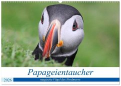 Papageientaucher 2026 - Magische Vögel des Nordmeers (Wandkalender 2026 DIN A2 quer), CALVENDO Monatskalender Papageientaucher 2026 - Magische Vögel des Nordmeers (Wandkalender 2026 DIN A2 quer), CALVENDO Monatskalender