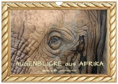Augenblicke aus Afrika (Wandkalender 2026 DIN A4 quer), CALVENDO Monatskalender Augenblicke aus Afrika (Wandkalender 2026 DIN A4 quer), CALVENDO Monatskalender