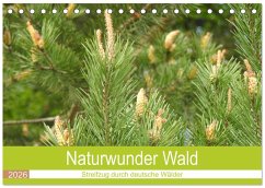 Naturwunder Wald (Tischkalender 2026 DIN A5 quer), CALVENDO Monatskalender Cover Naturwunder Wald (Tischkalender 2026 DIN A5 quer), CALVENDO Monatskalender