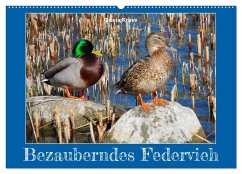 Bezauberndes Federvieh (Wandkalender 2026 DIN A2 quer), CALVENDO Monatskalender Cover Bezauberndes Federvieh (Wandkalender 2026 DIN A2 quer), CALVENDO Monatskalender
