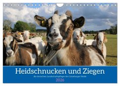 Heidschnucken und Ziegen die tierischen Landschaftspfleger der Lüneburger Heide (Wandkalender 2026 DIN A4 quer), CALVENDO Monatskalender Heidschnucken und Ziegen die tierischen Landschaftspfleger der Lüneburger Heide (Wandkalender 2026 DIN A4 quer), CALVENDO Monatskalender