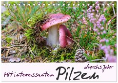 Cover Mit interessanten Pilzen durchs Jahr (Tischkalender 2026 DIN A5 quer), CALVENDO Monatskalender