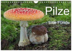 Cover Pilze - tolle Funde (Wandkalender 2026 DIN A4 quer), CALVENDO Monatskalender