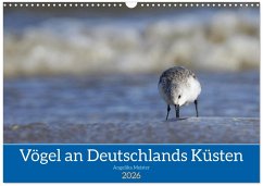 Vögel an Deutschlands Küsten (Wandkalender 2026 DIN A3 quer), CALVENDO Monatskalender Vögel an Deutschlands Küsten (Wandkalender 2026 DIN A3 quer), CALVENDO Monatskalender