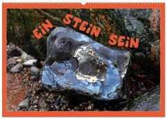 EIN STEIN SEIN (Wandkalender 2026 DIN A2 quer), CALVENDO Monatskalender EIN STEIN SEIN (Wandkalender 2026 DIN A2 quer), CALVENDO Monatskalender