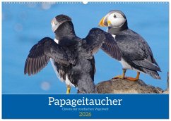 Papageitaucher - Clowns der nordischen Vogelwelt (Wandkalender 2026 DIN A2 quer), CALVENDO Monatskalender Papageitaucher - Clowns der nordischen Vogelwelt (Wandkalender 2026 DIN A2 quer), CALVENDO Monatskalender
