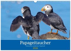 Papageitaucher - Clowns der nordischen Vogelwelt (Wandkalender 2026 DIN A3 quer), CALVENDO Monatskalender Papageitaucher - Clowns der nordischen Vogelwelt (Wandkalender 2026 DIN A3 quer), CALVENDO Monatskalender