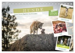 Hunde, unsere treuen Begleiter durch's Leben. (Tischkalender 2026 DIN A5 quer), CALVENDO Monatskalender Hunde, unsere treuen Begleiter durch's Leben. (Tischkalender 2026 DIN A5 quer), CALVENDO Monatskalender