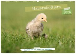 Cover Bauernhoftiere - Von Klein bis Groß, mit Fell und mit Federn. (Wandkalender 2026 DIN A2 quer), CALVENDO Monatskalender