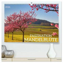 FASZINATION MANDELBLÜTE (hochwertiger Premium Wandkalender 2026 DIN A2 quer), Kunstdruck in Hochglanz