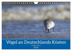 Vögel an Deutschlands Küsten (Wandkalender 2026 DIN A4 quer), CALVENDO Monatskalender Vögel an Deutschlands Küsten (Wandkalender 2026 DIN A4 quer), CALVENDO Monatskalender