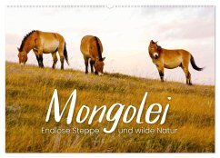Cover Mongolei - Endlose Steppe und wilde Natur. (Wandkalender 2026 DIN A2 quer), CALVENDO Monatskalender