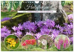 Heilpflanzen - Schätze im Garten (Wandkalender 2026 DIN A4 quer), CALVENDO Monatskalender