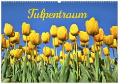 Tulpentraum (Wandkalender 2026 DIN A2 quer), CALVENDO Monatskalender