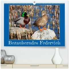 Cover Bezauberndes Federvieh (hochwertiger Premium Wandkalender 2026 DIN A2 quer), Kunstdruck in Hochglanz