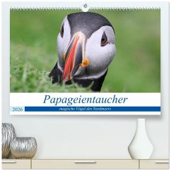 Papageientaucher 2026 - Magische Vögel des Nordmeers (hochwertiger Premium Wandkalender 2026 DIN A2 quer), Kunstdruck in Hochglanz