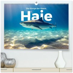 Haie - Könige der Meere. (hochwertiger Premium Wandkalender 2026 DIN A2 quer), Kunstdruck in Hochglanz