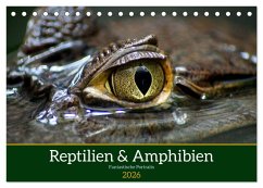 Reptilien & Amphibien Portraits (Tischkalender 2026 DIN A5 quer), CALVENDO Monatskalender