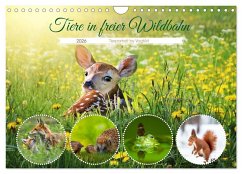 Tiere in freier Wildbahn by VogtArt (Wandkalender 2026 DIN A4 quer), CALVENDO Monatskalender Tiere in freier Wildbahn by VogtArt (Wandkalender 2026 DIN A4 quer), CALVENDO Monatskalender