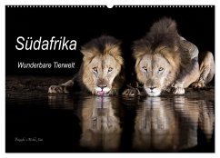 Südafrika wunderbare Tierwelt (Wandkalender 2026 DIN A2 quer), CALVENDO Monatskalender