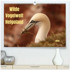 Wilde Vogelwelt Helgoland (hochwertiger Premium Wandkalender 2026 DIN A2 quer), Kunstdruck in Hochglanz Wilde Vogelwelt Helgoland (hochwertiger Premium Wandkalender 2026 DIN A2 quer), Kunstdruck in Hochglanz