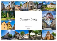 Senftenberg Impressionen (Wandkalender 2026 DIN A2 quer), CALVENDO Monatskalender