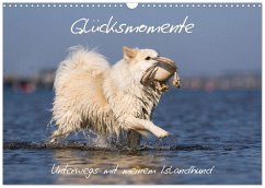 Glücksmomente - Unterwegs mit meinem Islandhund (Wandkalender 2026 DIN A3 quer), CALVENDO Monatskalender