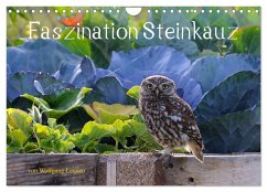 Faszination Steinkauz (Wandkalender 2026 DIN A4 quer), CALVENDO Monatskalender