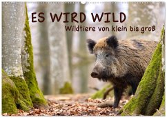 ES WIRD WILD Wildtiere von klein bis groß (Wandkalender 2026 DIN A2 quer), CALVENDO Monatskalender Cover ES WIRD WILD Wildtiere von klein bis groß (Wandkalender 2026 DIN A2 quer), CALVENDO Monatskalender