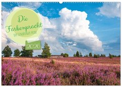 Die Farbenpracht der Lüneburger Heide (Wandkalender 2026 DIN A2 quer), CALVENDO Monatskalender