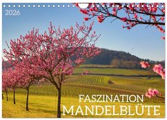 FASZINATION MANDELBLÜTE (Wandkalender 2026 DIN A4 quer), CALVENDO Monatskalender