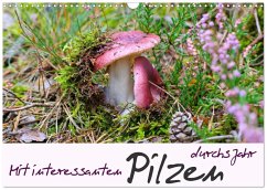 Cover Mit interessanten Pilzen durchs Jahr (Wandkalender 2026 DIN A3 quer), CALVENDO Monatskalender