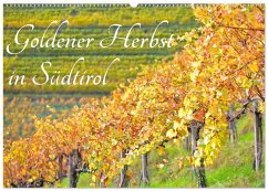 Cover Goldener Herbst in Südtirol (Wandkalender 2026 DIN A2 quer), CALVENDO Monatskalender