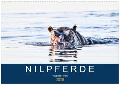 Nilpferde, Kolosse in Afrika (Wandkalender 2026 DIN A2 quer), CALVENDO Monatskalender