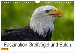 Faszination Greifvögel und Eulen (Wandkalender 2026 DIN A4 quer), CALVENDO Monatskalender