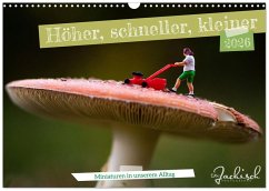 Höher, schneller, kleiner - Miniaturen in unserem Alltag (Wandkalender 2026 DIN A3 quer), CALVENDO Monatskalender