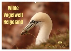 Wilde Vogelwelt Helgoland (Wandkalender 2026 DIN A2 quer), CALVENDO Monatskalender Wilde Vogelwelt Helgoland (Wandkalender 2026 DIN A2 quer), CALVENDO Monatskalender