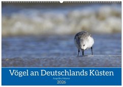Vögel an Deutschlands Küsten (Wandkalender 2026 DIN A2 quer), CALVENDO Monatskalender Vögel an Deutschlands Küsten (Wandkalender 2026 DIN A2 quer), CALVENDO Monatskalender