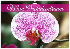 Cover Mein Orchideentraum (Wandkalender 2026 DIN A2 quer), CALVENDO Monatskalender