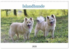 Islandhunde (Wandkalender 2026 DIN A3 quer), CALVENDO Monatskalender Islandhunde (Wandkalender 2026 DIN A3 quer), CALVENDO Monatskalender
