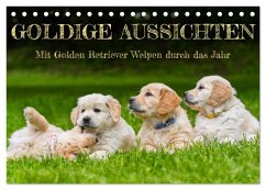 Cover Goldige Aussichten - Mit Golden Retriever Welpen durch das Jahr (Tischkalender 2026 DIN A5 quer), CALVENDO Monatskalender