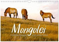 Cover Mongolei - Endlose Steppe und wilde Natur. (Wandkalender 2026 DIN A4 quer), CALVENDO Monatskalender
